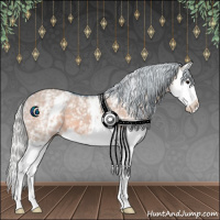 Horse Color:Watercolor White Spotted Silver Brown Dun Splash 