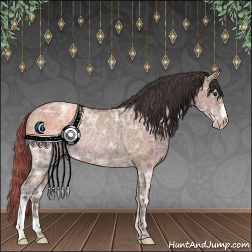 Horse Color:Classic Champagne Ice Rabicano 