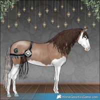 Horse Color:Classic Champagne Splash 