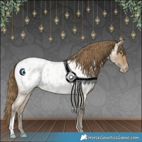 Horse Color:Classic Cream Champagne Roan Appaloosa Rabicano 