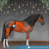 Horse Color:Grullo 