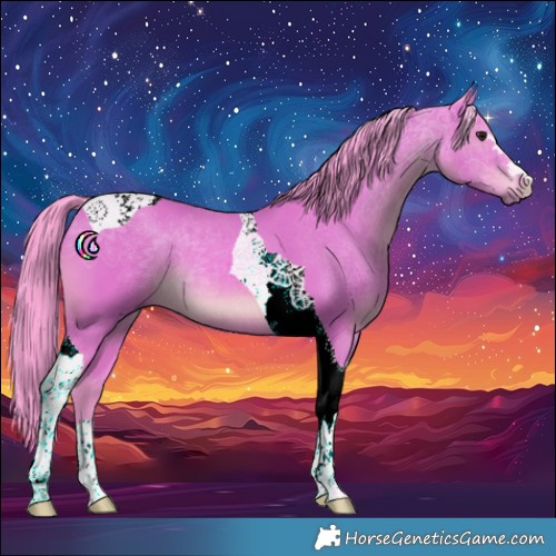 Horse Color:Watercolor Bay Tobiano