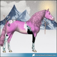 Horse Color:Watercolor Bay Tobiano 