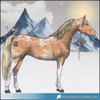 Horse Color:Painted Watercolor Silver Bay Ice Tobiano 
