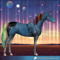 Horse Color:ERROR: UNKNOWN ANOMALY