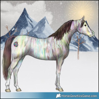 Horse Color:Nacre Red Onyx Ice 