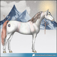 Horse Color:White Spotted Chestnut Ice Tobiano