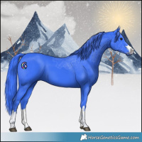 Horse Color:Watercolor Black 