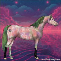 Horse Color:Gray Nacre Watercolor Bay Ice