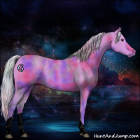 Horse Color:Nacre Watercolor Silver Brown Tobiano 