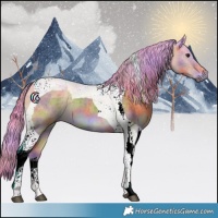 Horse Color:Nacre Watercolor Brown Tobiano