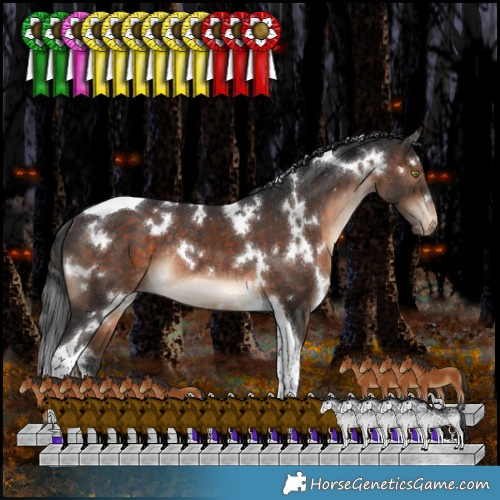 Horse Color:White Spotted Brown Tobiano Appaloosa Rabicano