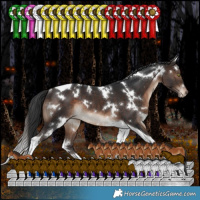 Horse Color:White Spotted Brown Tobiano Varnish Rabicano 