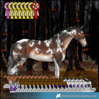 Horse Color:White Spotted Brown Tobiano Appaloosa Rabicano