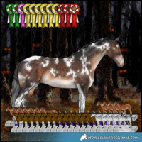 Horse Color:White Spotted Brown Tobiano Appaloosa Rabicano 