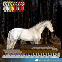 Horse Color:White Spotted Silver Brown Snowdrop Pearl Dun Tobiano Blanket Rabicano 