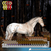 Horse Color:White Spotted Silver Brown Pearl Dun Tobiano Appaloosa Rabicano 