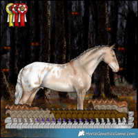 Horse Color:White Spotted Silver Brown Pearl Dun Tobiano Appaloosa Rabicano 