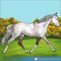 Horse Color:Gray Silver Black Pearl Tobiano 