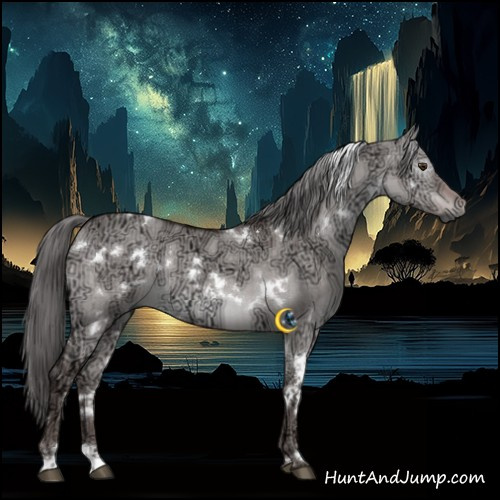 Horse Color:Gray Platinum White Spotted Liver Red Dun Ice Mushroom Brindle