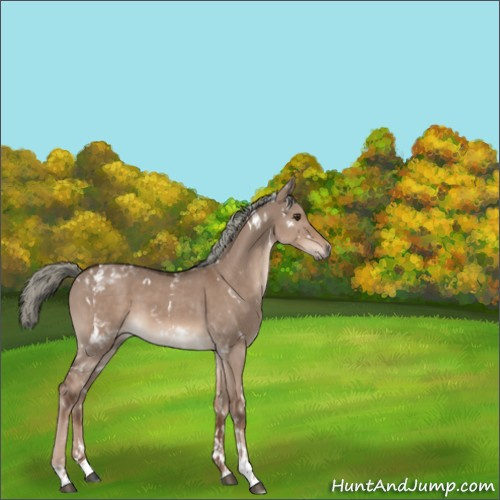 Horse Color:White Spotted Liver Red Dun Mushroom Tobiano 