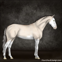 Horse Color:Sable Champagne Dun Splash Rabicano