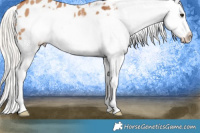 Horse Color:Silver Bay Dun Frame Blanket 