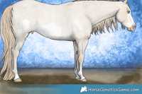Horse Color:Smoky Creme Roan Frame Rabicano