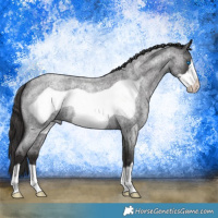 Horse Color:Smoky Blue Roan Frame 