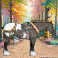 Horse Color:Gray Grullo Appaloosa 