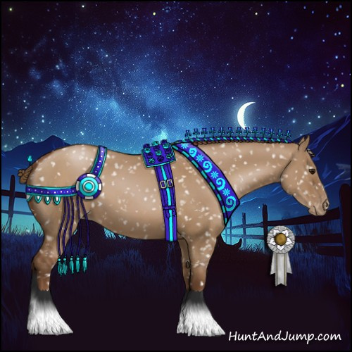 Horse Color:Gray Grullo Pearl Appaloosa 