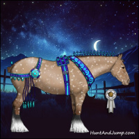 Horse Color:Gray Grullo Pearl Appaloosa 