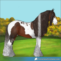 Horse Color:Liver Chestnut Sabino Tobiano 