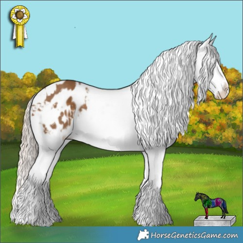 Horse Color:White Spotted Chocolate Palomino Sabino Appaloosa 
