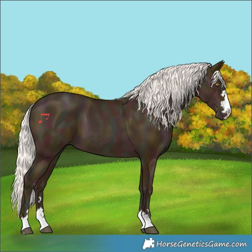 Horse Color:Midnight Silver Bay Pearl 