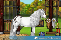 Horse Color:White Spotted Liver Chestnut Appaloosa 