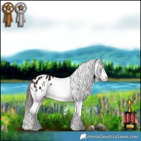Horse Color:White Spotted Liver Chestnut Appaloosa 