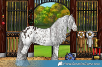 Horse Color:White Spotted Liver Chestnut Appaloosa