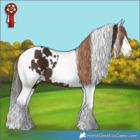 Horse Color:White Spotted Liver Chestnut Sabino  and Liver Red Dun Sabino Blanket 