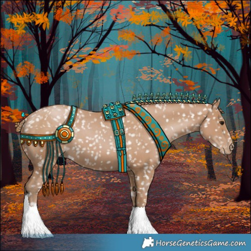 Horse Color:Black Pearl Appaloosa 