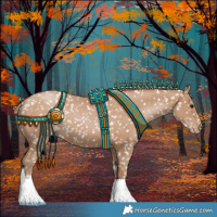 Horse Color:Black Pearl Appaloosa