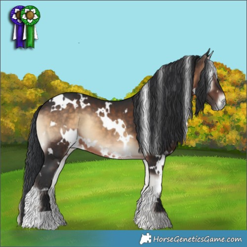 Horse Color:White Spotted Brown Onyx 