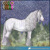 Horse Color:Watercolor White Spotted Chocolate Palomino Dun Tobiano Rabicano  and Watercolor White Spotted Chocolate Palomino Dun Tobiano Appaloosa Rabicano 