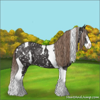 Horse Color:White Spotted Liver Chestnut Splash Tobiano Appaloosa 