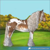 Horse Color:White Spotted Chocolate Palomino Tobiano 