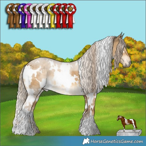 Horse Color:White Spotted Chocolate Palomino Dun 