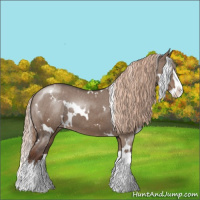 Horse Color:White Spotted Liver Red Dun Splash Appaloosa 
