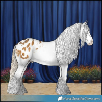 Horse Color:White Spotted Chocolate Palomino Dun Splash Snowflake Varnish Brindle 
