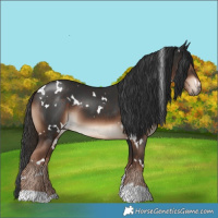 Horse Color:White Spotted Liver Chestnut 