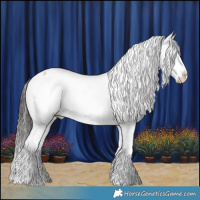 Horse Color:White Spotted Liver Red Dun Splash Varnish Rabicano 
